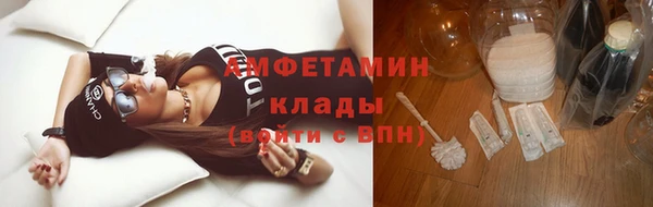 гашик Алзамай