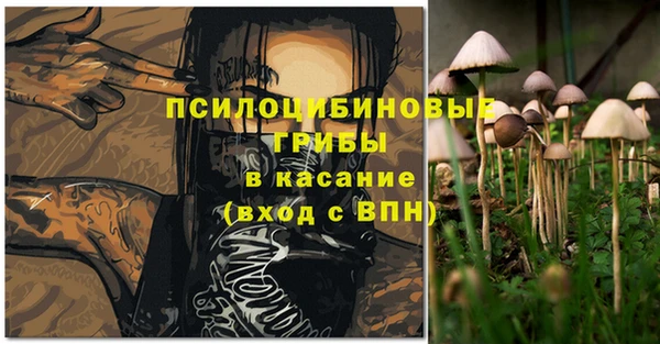 хмурый Алексеевка