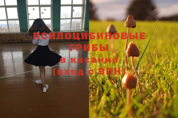 не бодяженный Алексин