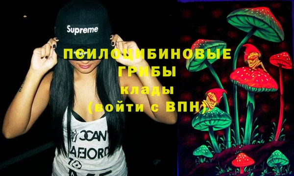 не бодяженный Алексин