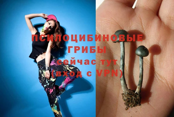 не бодяженный Алексин