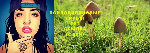 не бодяженный Алексин