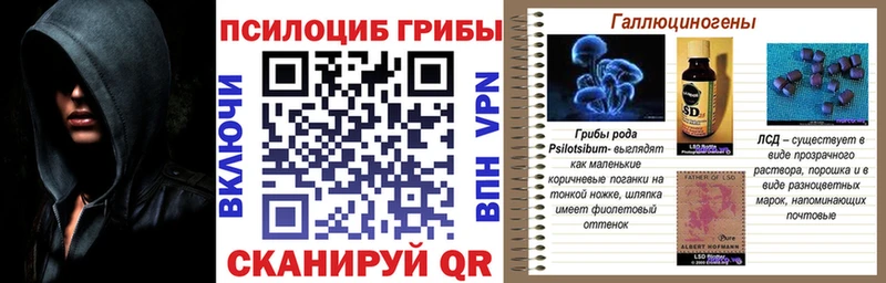 Галлюциногенные грибы ЛСД  купить наркотик  дарк нет телеграм  Шатура 