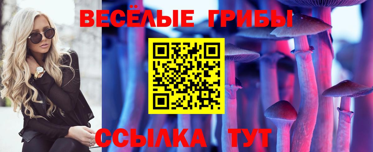 Галлюциногенные грибы мухоморы Шатура